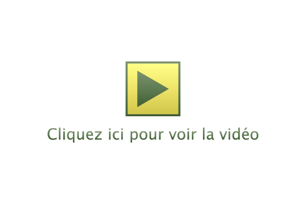 Cliquez pour voir la vidéo